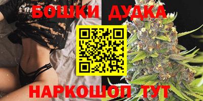 стаф Абакан