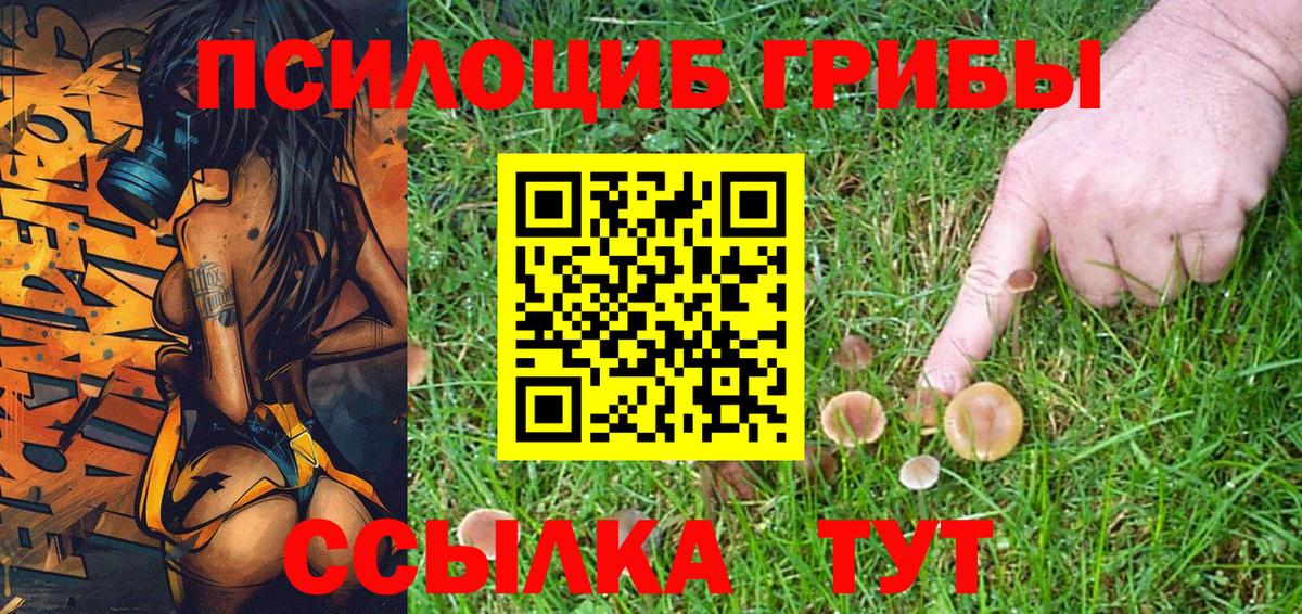 Галлюциногенные грибы мухоморы Алатырь